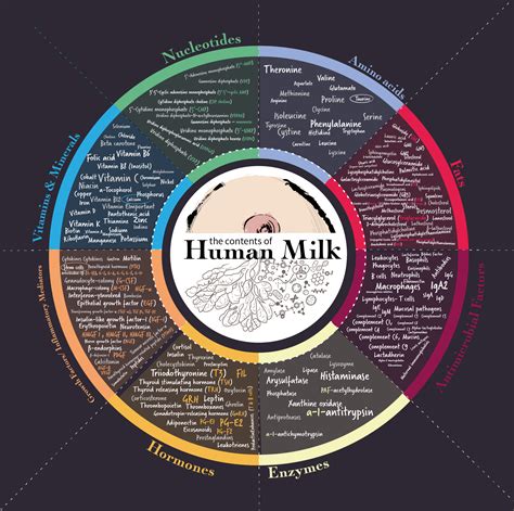 the human milk foundation.